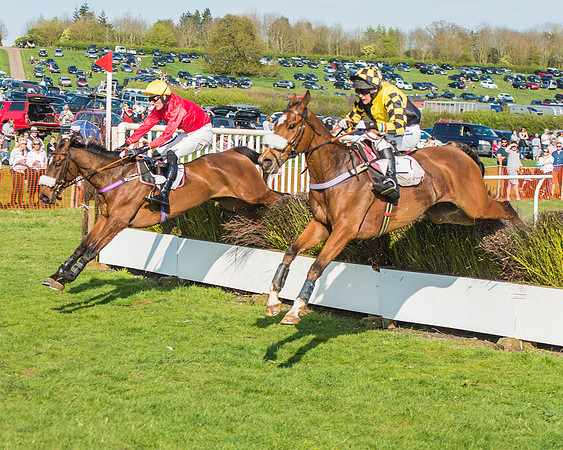 Race 5 - Restricted Race-88