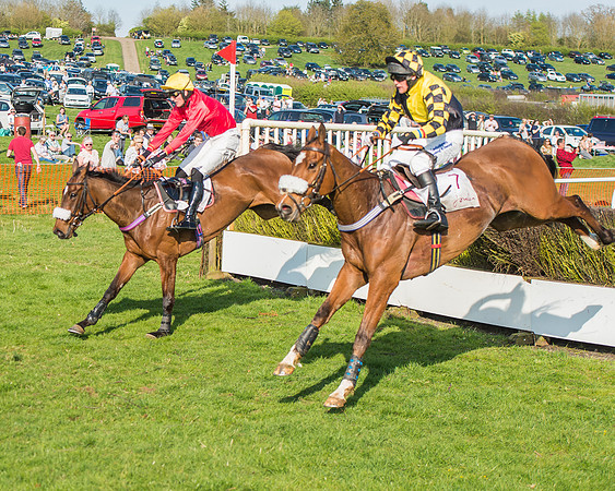 Race 5 - Restricted Race-89
