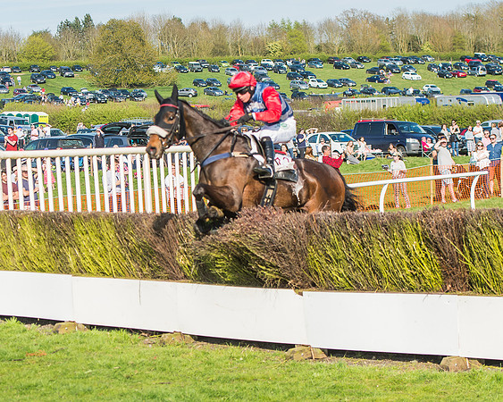 Race 5 - Restricted Race-90