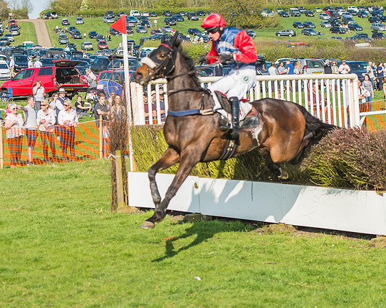 Race 5 - Restricted Race-92