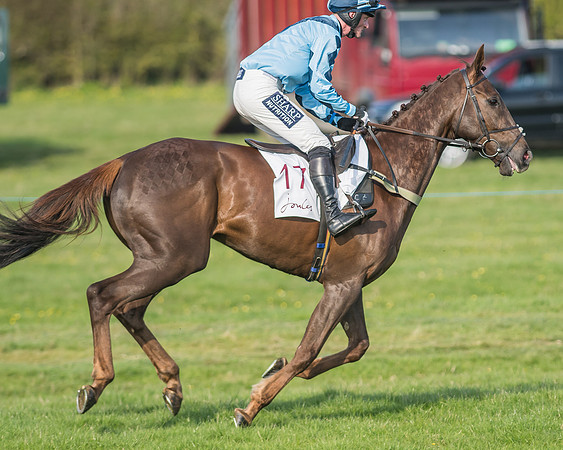 Race 6 - Open Maiden-13