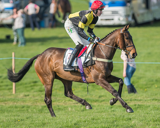 Race 6 - Open Maiden-26
