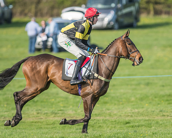 Race 6 - Open Maiden-29