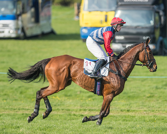 Race 6 - Open Maiden-38