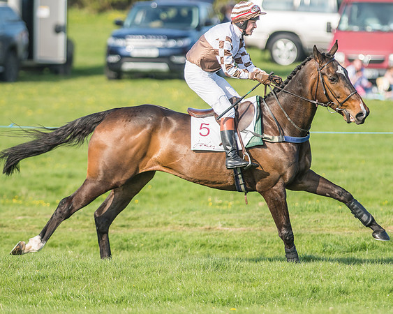 Race 6 - Open Maiden-43