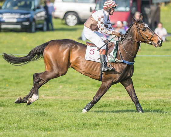 Race 6 - Open Maiden-44