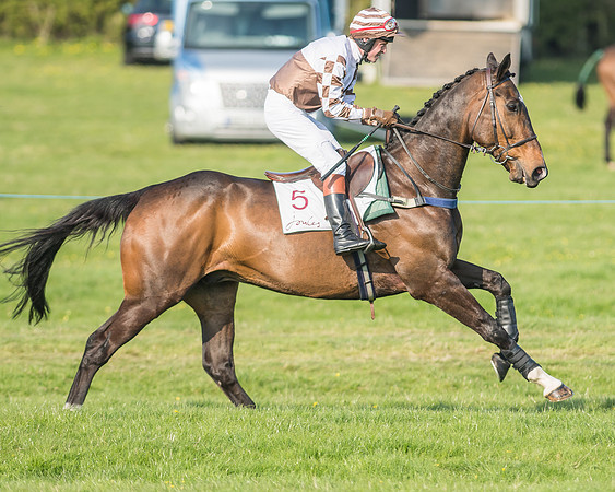 Race 6 - Open Maiden-45