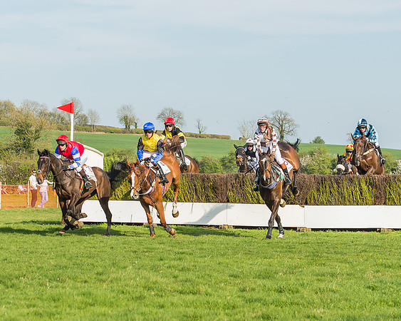 Race 6 - Open Maiden-60