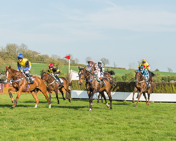 Race 6 - Open Maiden-65