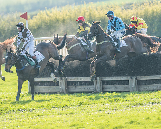 Race 6 - Open Maiden-82