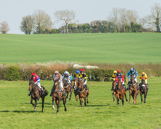 Race 6 - Open Maiden-95