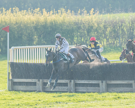 Race 6 - Open Maiden-122