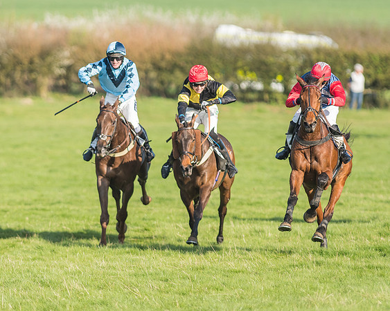 Race 6 - Open Maiden-142