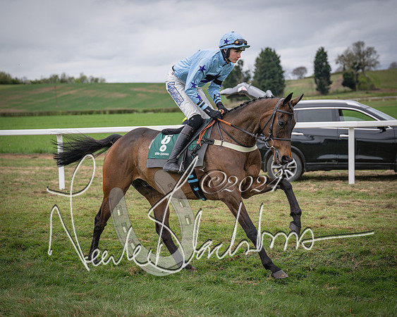 Race 6 - The Restricted Race (7 of 101)