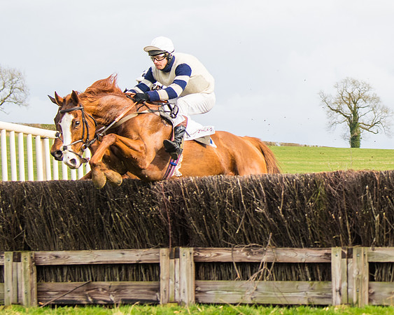 Race 3 - Restricted  (31 of 100)