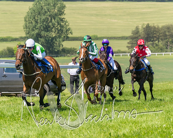 Pony Races  (79 of 141)