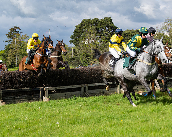 Race 5  - Maiden  (22 of 84)