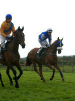 Southern Grand National  11