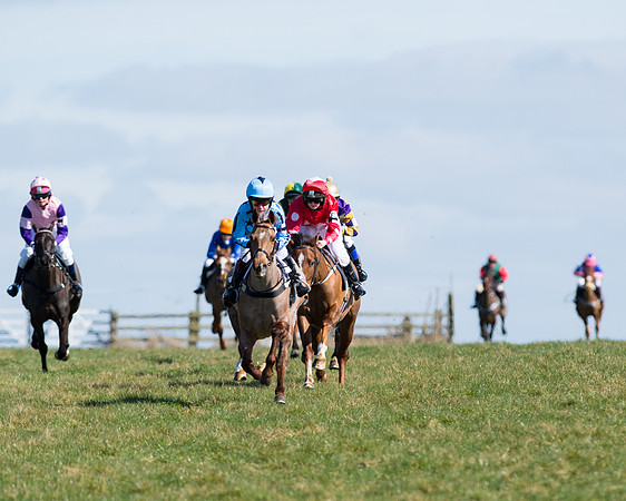 Oakley Ponies (12 of 96).jpg