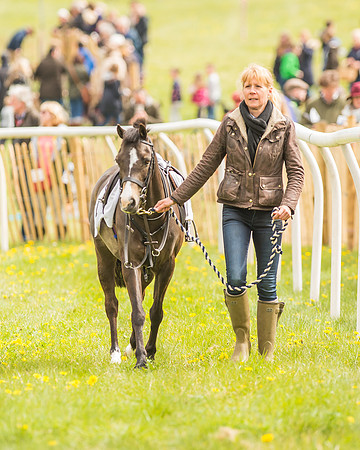 Pony Races-1