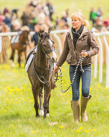 Pony Races-2