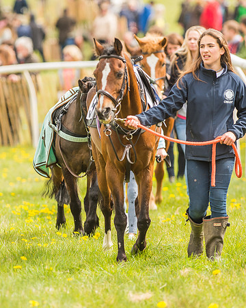 Pony Races-4