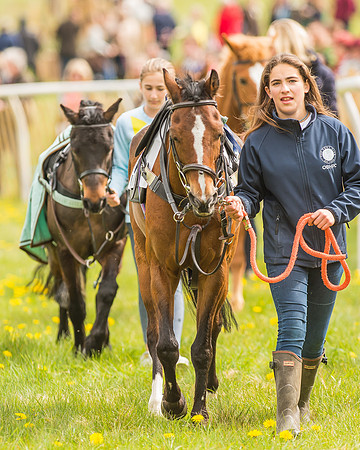Pony Races-5