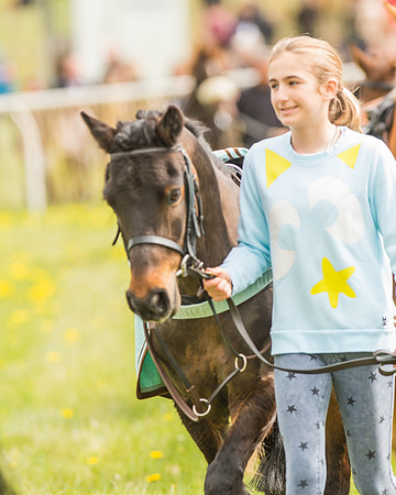 Pony Races-6