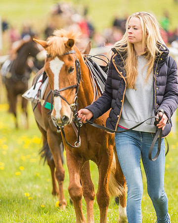 Pony Races-8