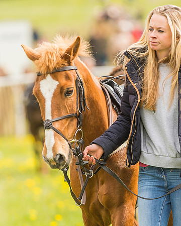 Pony Races-9
