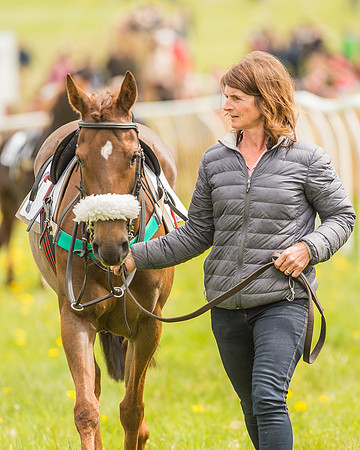 Pony Races-10