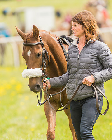 Pony Races-12