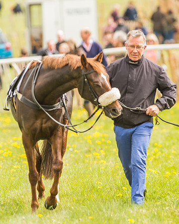 Pony Races-14