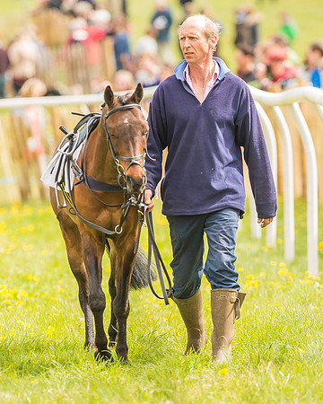 Pony Races-16