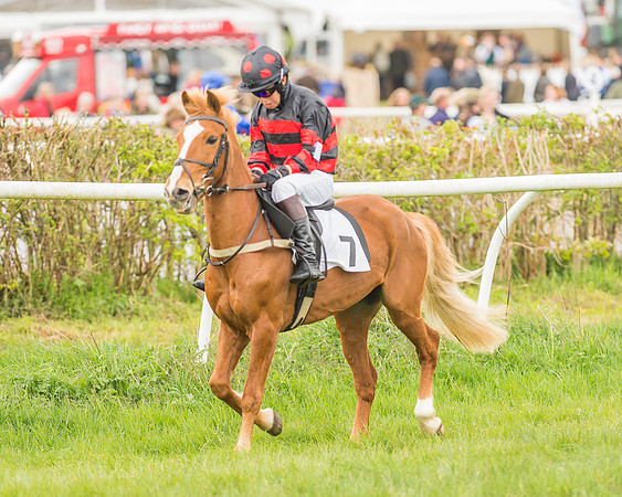 Pony Races-25