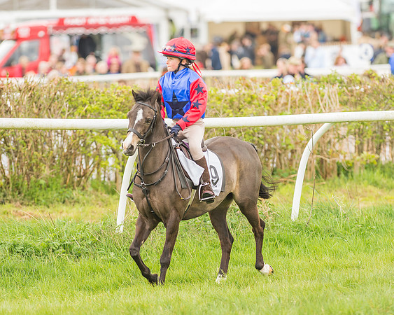 Pony Races-26