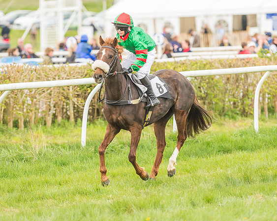 Pony Races-30
