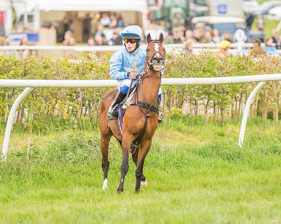 Pony Races-31