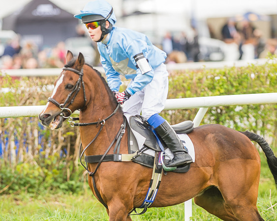 Pony Races-32