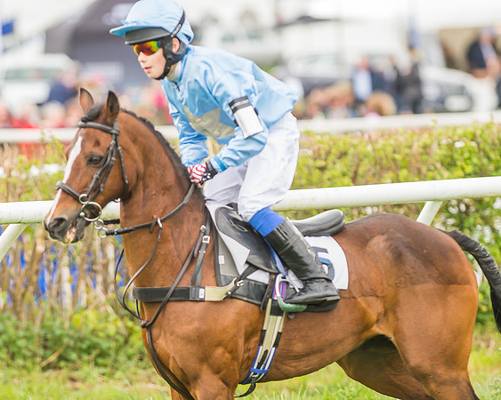 Pony Races-33