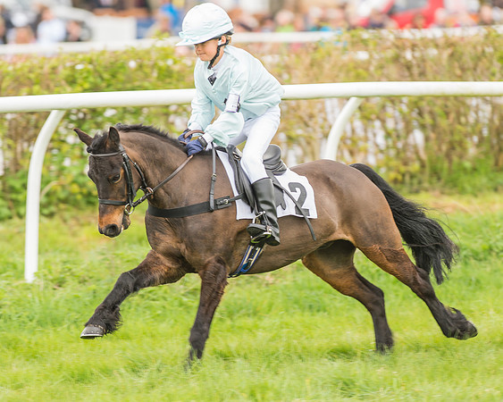 Pony Races-34