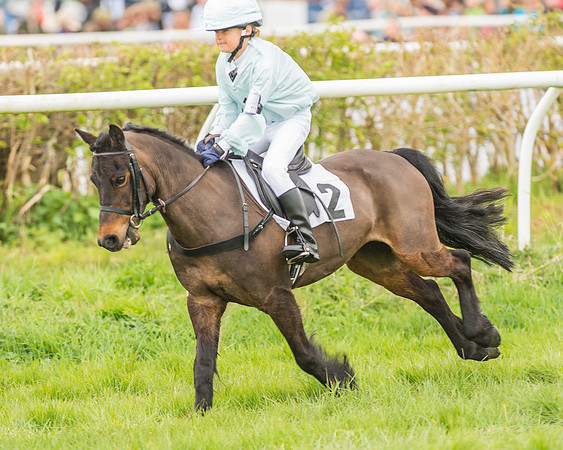 Pony Races-35