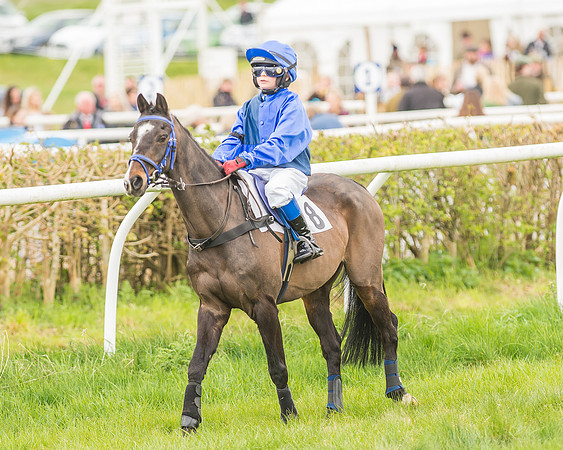 Pony Races-36