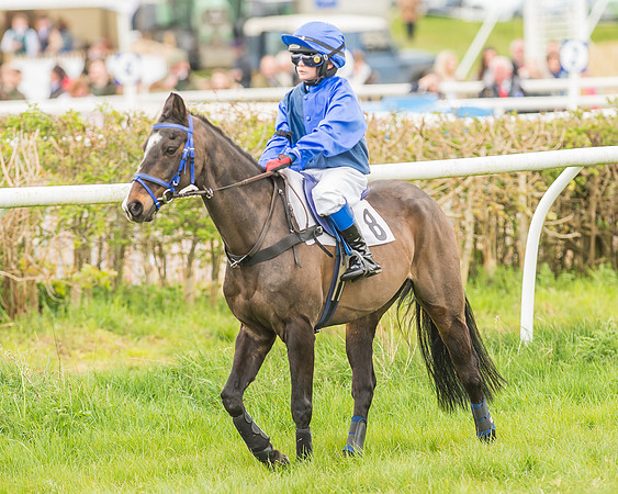 Pony Races-37
