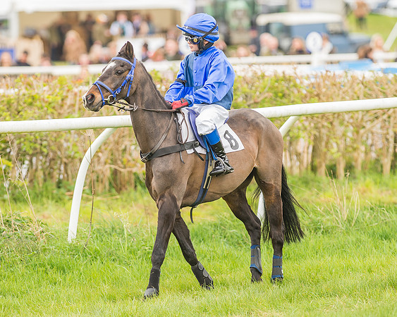 Pony Races-38