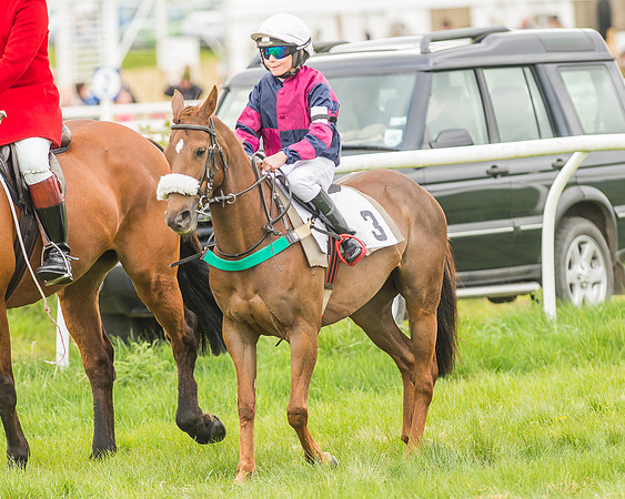 Pony Races-39