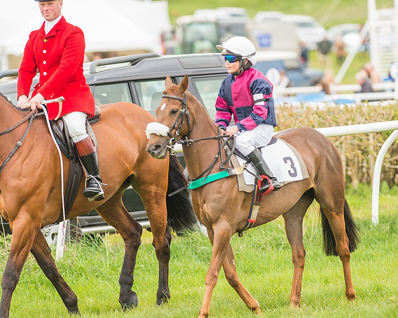 Pony Races-40