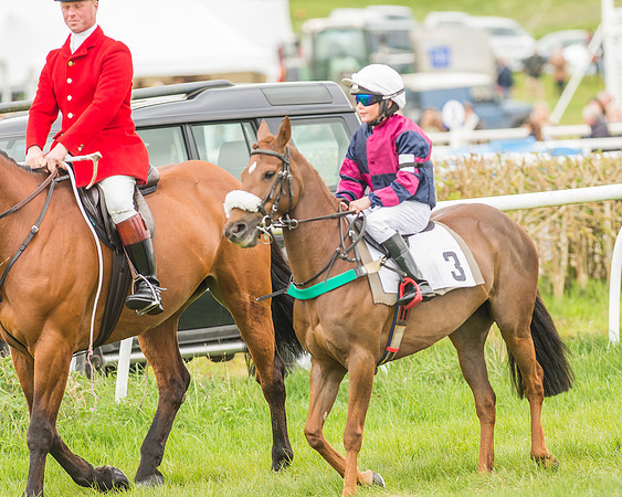 Pony Races-41