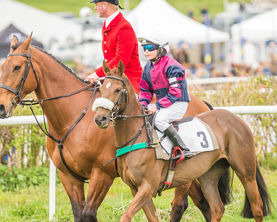Pony Races-42