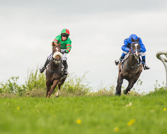 Pony Races-46